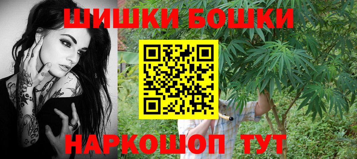 Бошки Шишки план Новочеркасск
